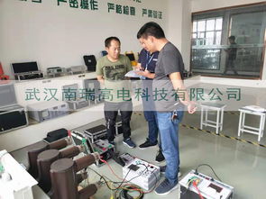 深化技术合作，共创未来价值——客户来访我司技术交流纪实